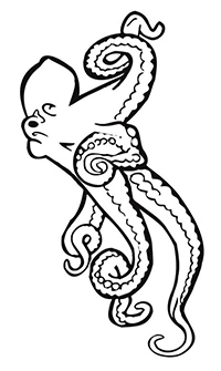 Octopussen - Kleurplaat027