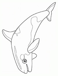 Orcas - Kleurplaat001