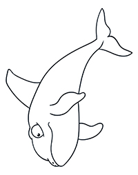 Orcas - Kleurplaat007