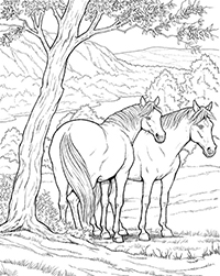 Paarden - Kleurplaat029
