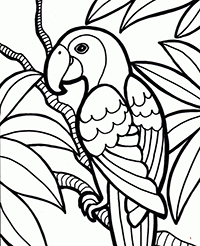 Papegaaien - Kleurplaat020