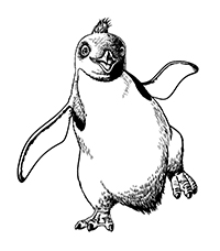Pinguins - Kleurplaat024