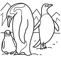 Pinguins - Kleurplaat034