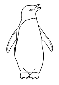 Pinguins - Kleurplaat035