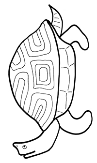 Schildpadden - Kleurplaat001