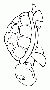 Schildpadden - Kleurplaat005