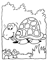 Schildpadden - Kleurplaat006