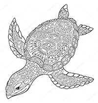 Schildpadden - Kleurplaat010