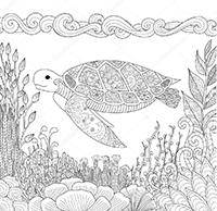 Schildpadden - Kleurplaat011