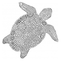 Schildpadden - Kleurplaat025