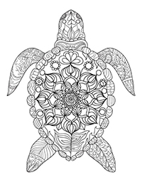 Schildpadden - Kleurplaat028