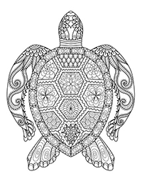 Schildpadden - Kleurplaat041