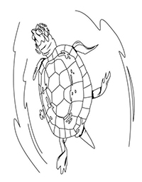 Schildpadden - Kleurplaat051