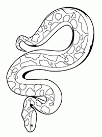 Slangen - Kleurplaat002