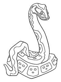 Slangen - Kleurplaat011
