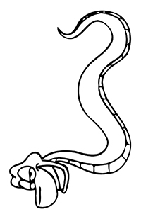 Slangen - Kleurplaat018
