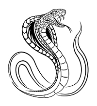 Slangen - Kleurplaat032