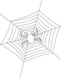 Spinnen - Kleurplaat024