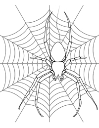 Spinnen - Kleurplaat025