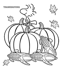 Thanksgiving - Kleurplaat005
