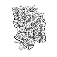 Vlinders - Kleurplaat012