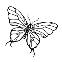 Vlinders - Kleurplaat014