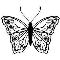 Vlinders - Kleurplaat017