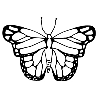 Vlinders - Kleurplaat021