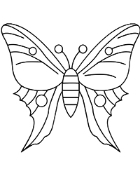 Vlinders - Kleurplaat033