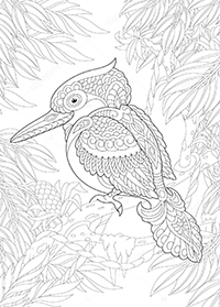 Vogels - Kleurplaat023