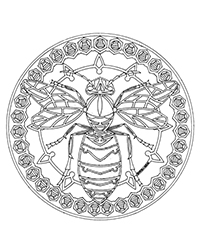 Wespen En Bijen - Kleurplaat014