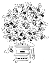 Wespen En Bijen - Kleurplaat019