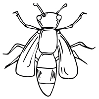Wespen En Bijen - Kleurplaat022