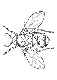 Wespen En Bijen - Kleurplaat025