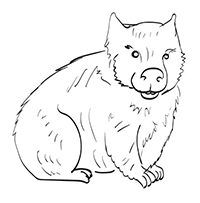 Wombats - Kleurplaat014